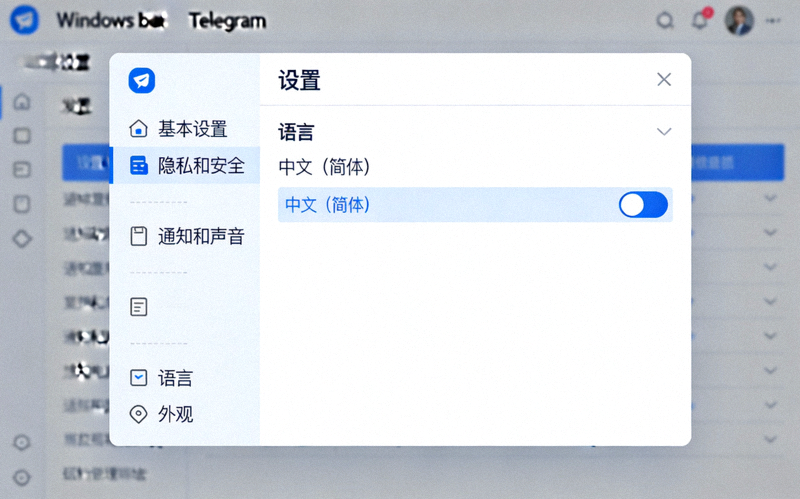 Windows版Telegram成功切换为中文界面后的设置菜单显示效果截图